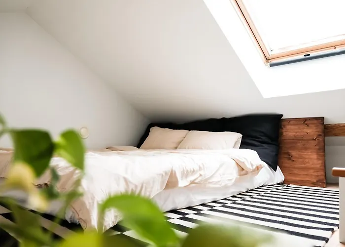 White Loft In The Riga City Center
