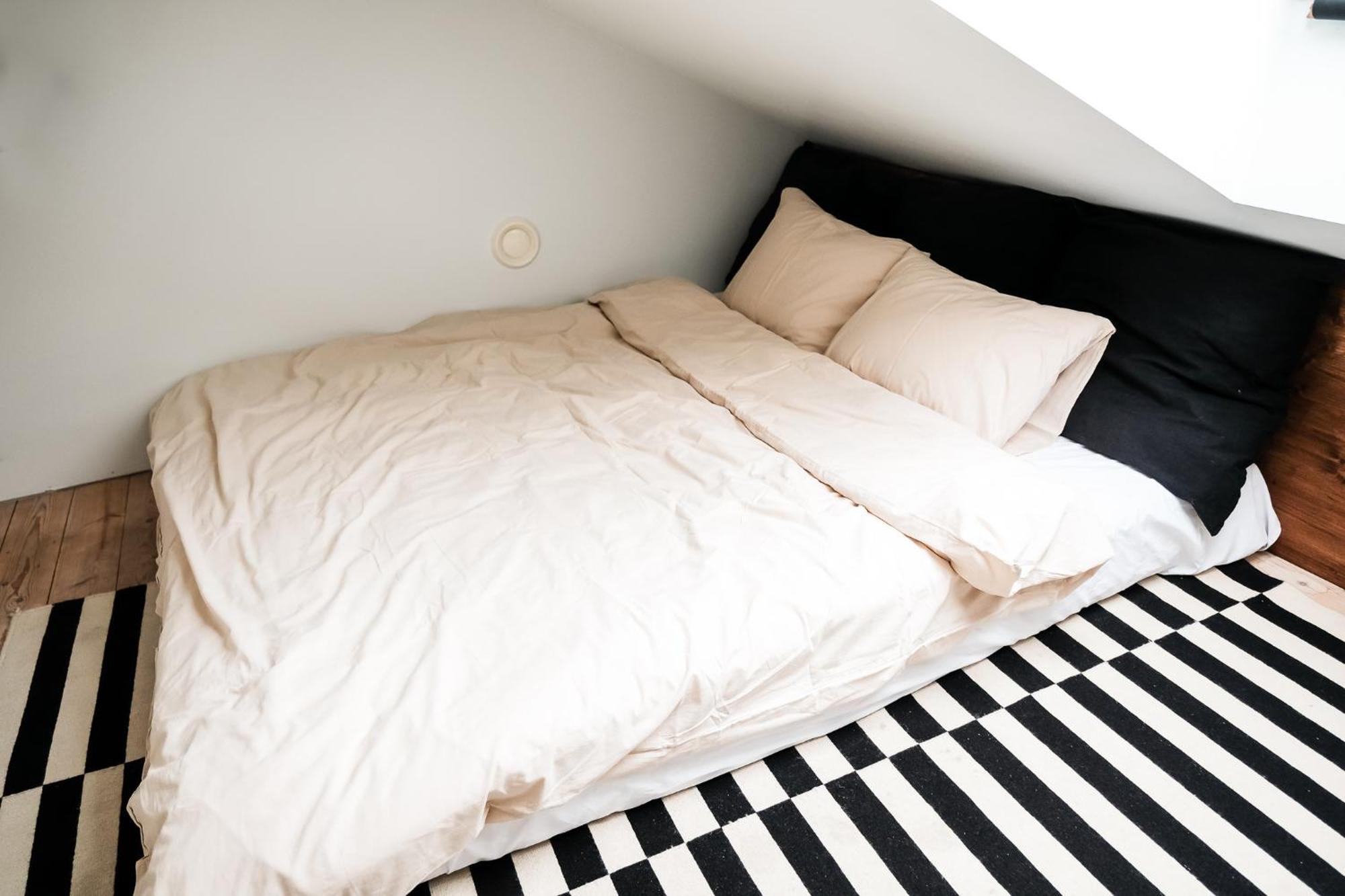 Apartment White Loft In The Center Riga